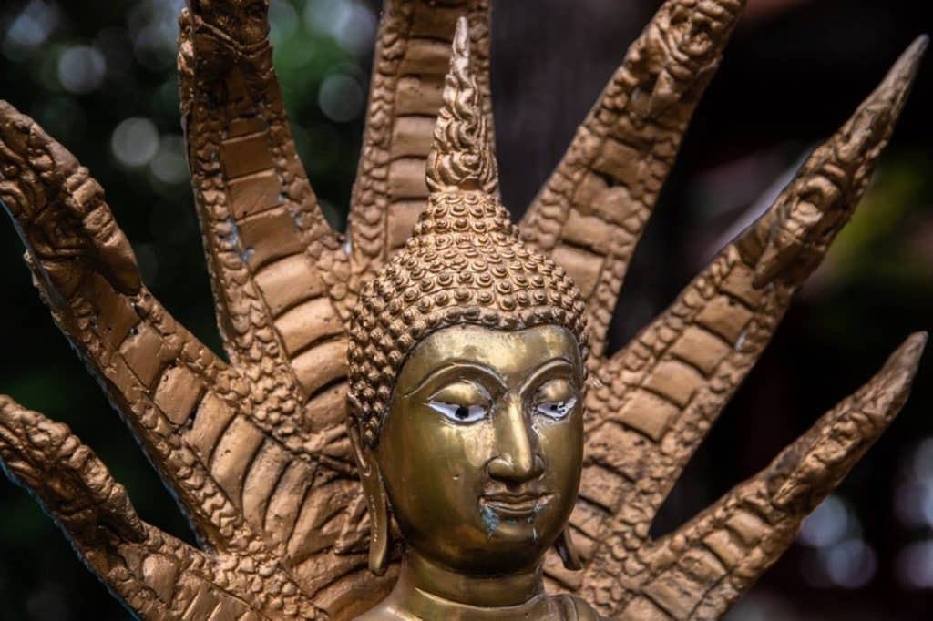 bouddha avec 7 têtes de serpent, le roi des nagas